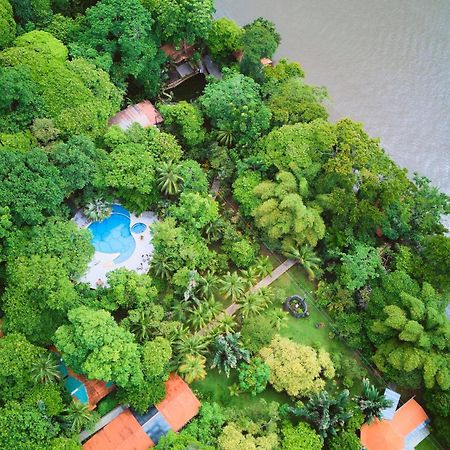 Evergreen Lodge Tortuguero Eksteriør billede