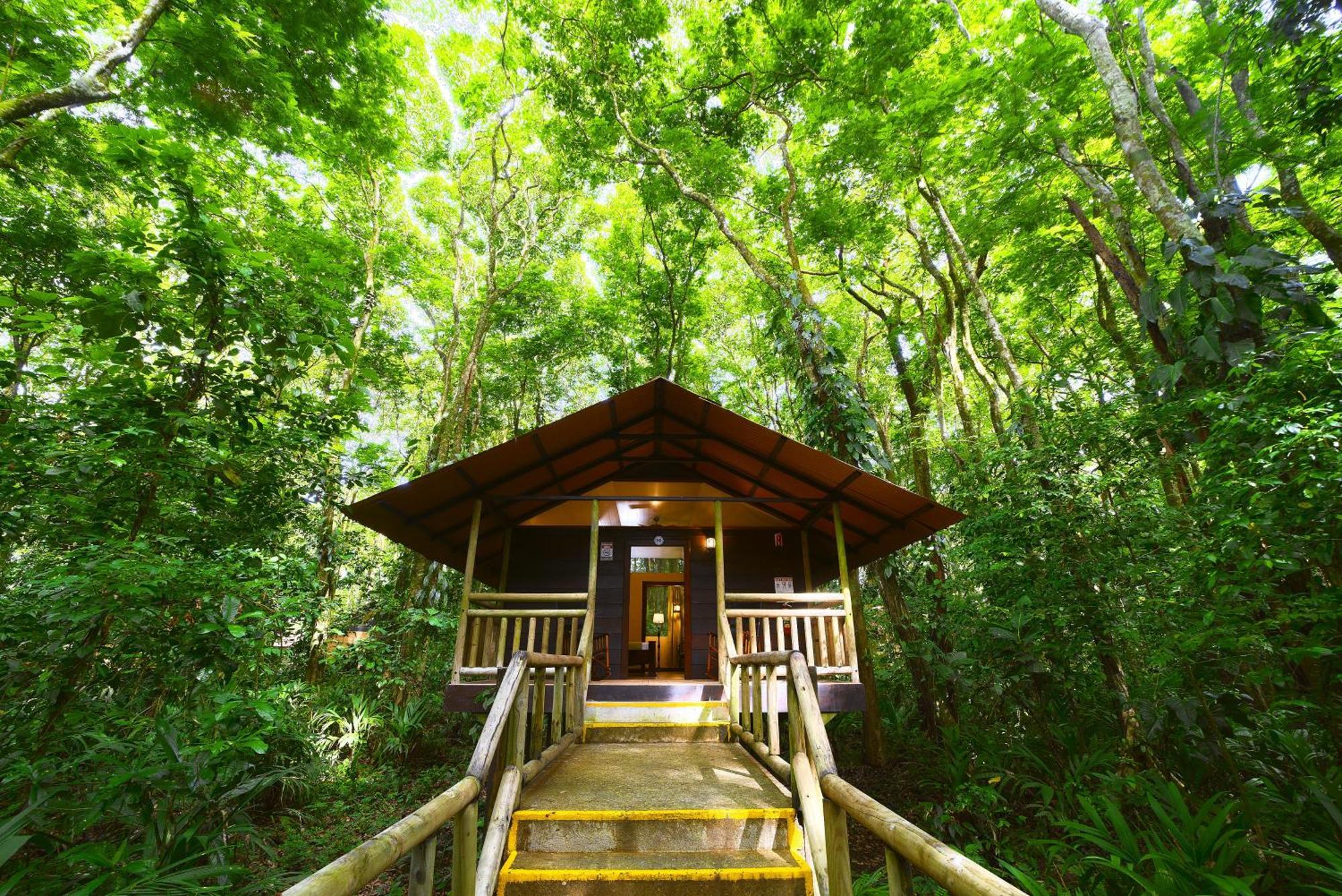 Evergreen Lodge Tortuguero Eksteriør billede