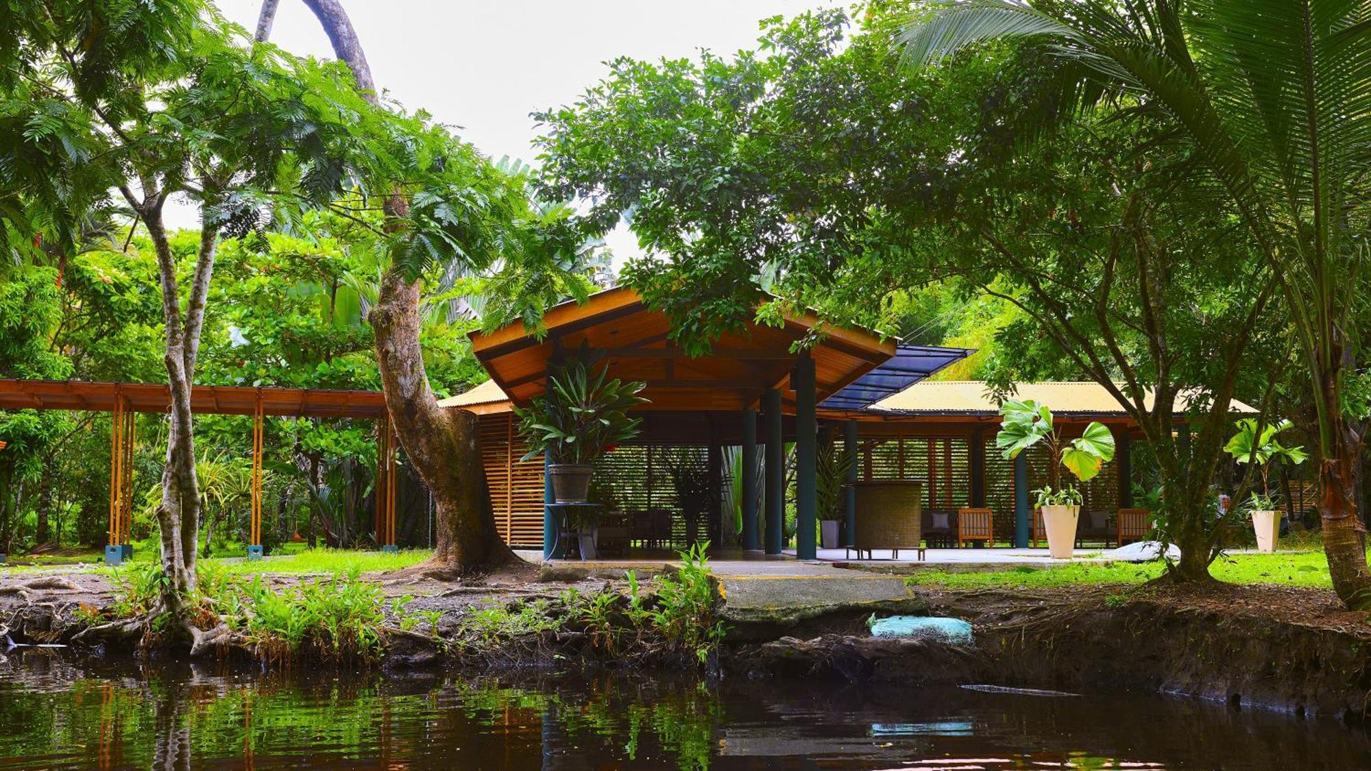 Evergreen Lodge Tortuguero Eksteriør billede