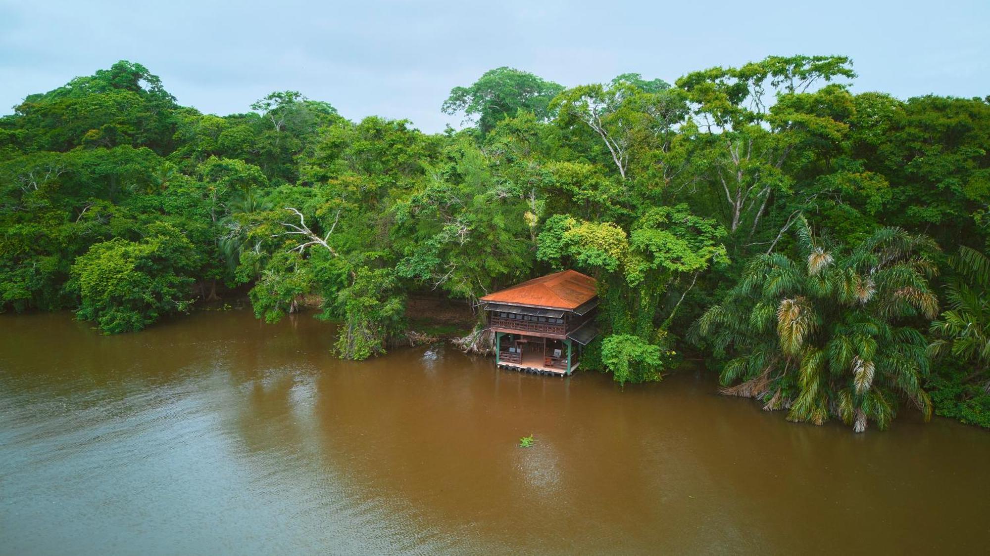 Evergreen Lodge Tortuguero Eksteriør billede