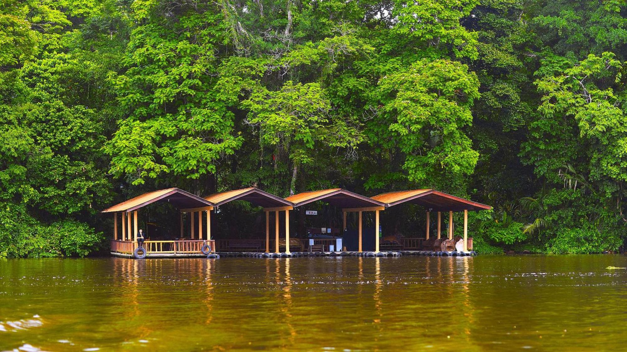 Evergreen Lodge Tortuguero Eksteriør billede