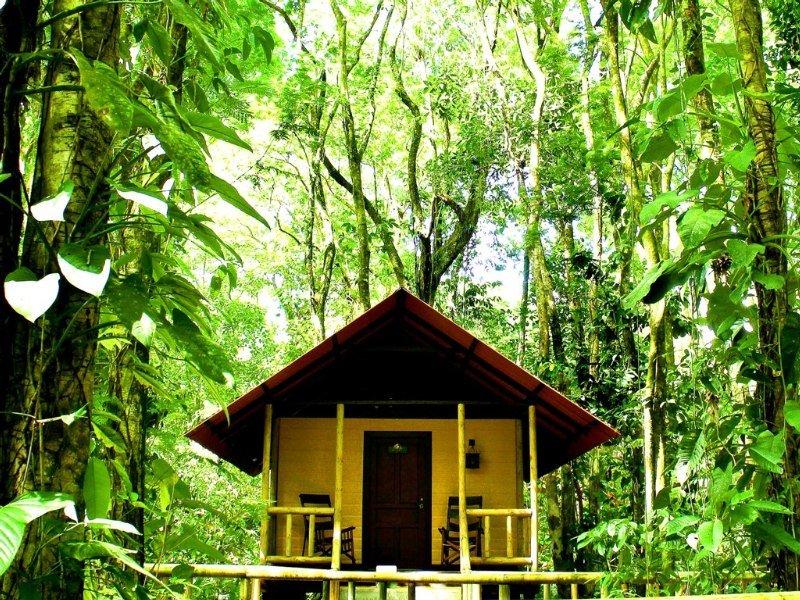 Evergreen Lodge Tortuguero Eksteriør billede