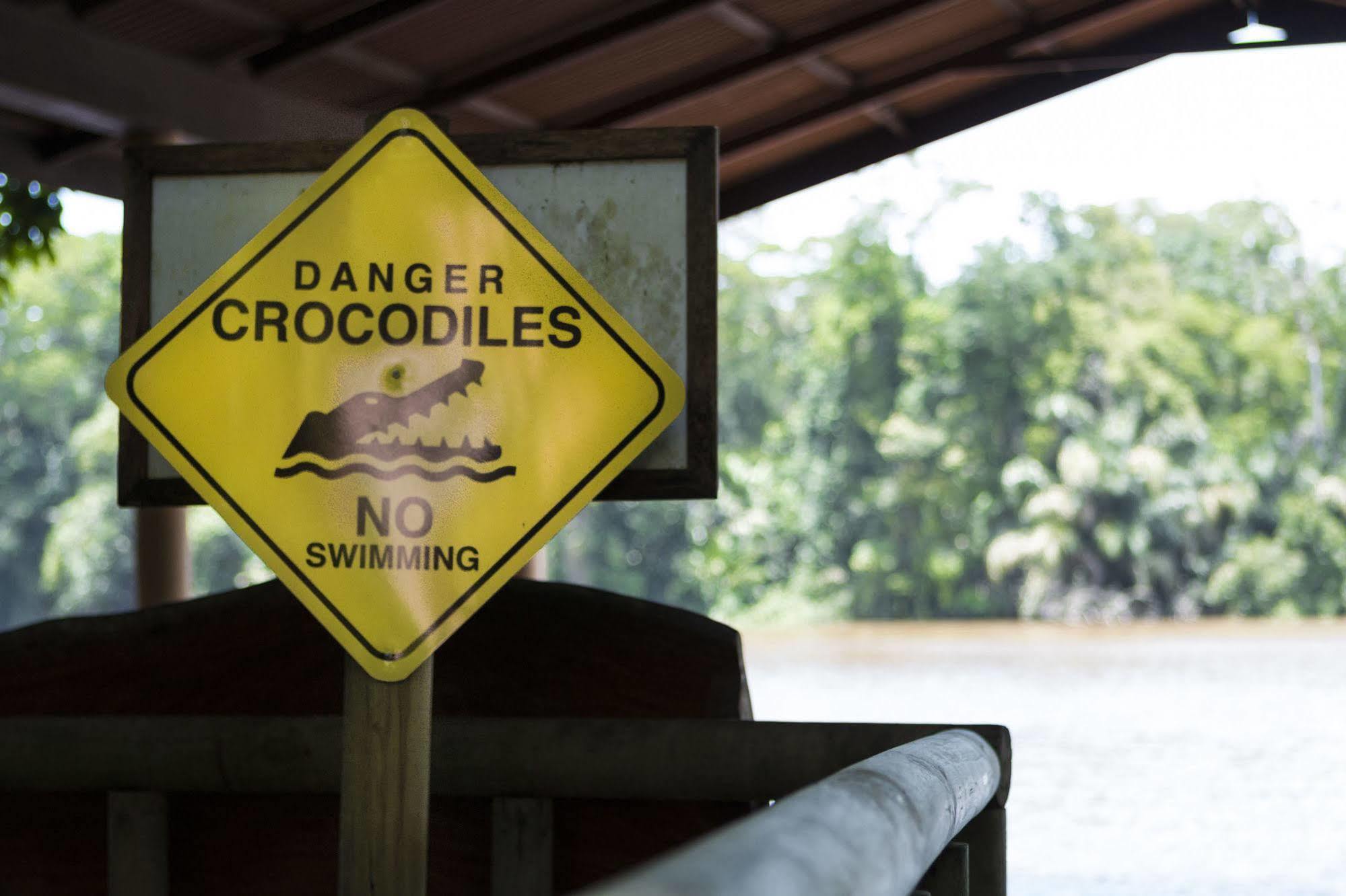 Evergreen Lodge Tortuguero Eksteriør billede