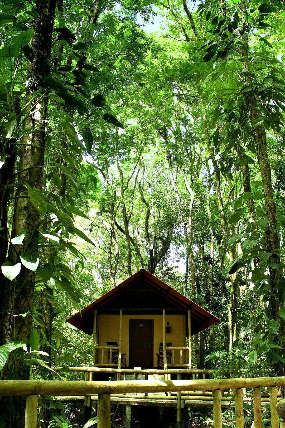 Evergreen Lodge Tortuguero Eksteriør billede