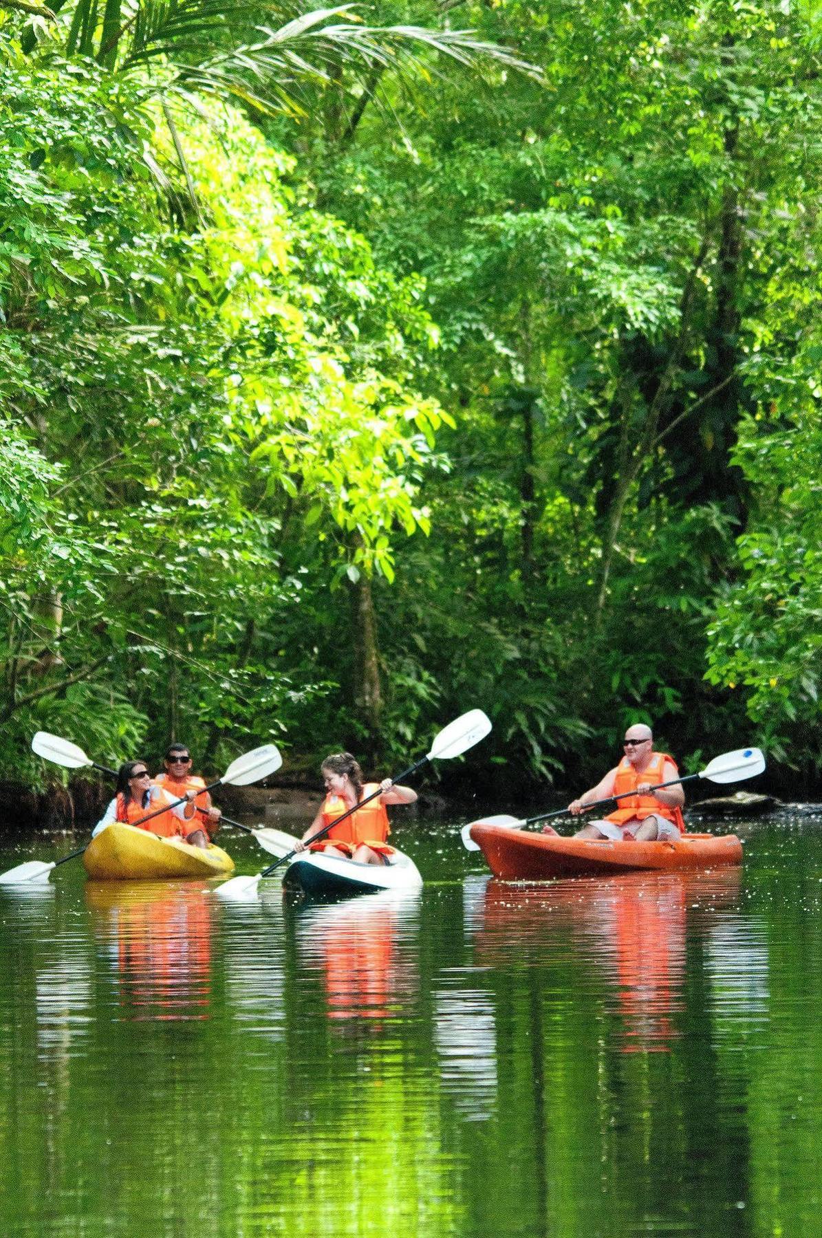 Evergreen Lodge Tortuguero Eksteriør billede