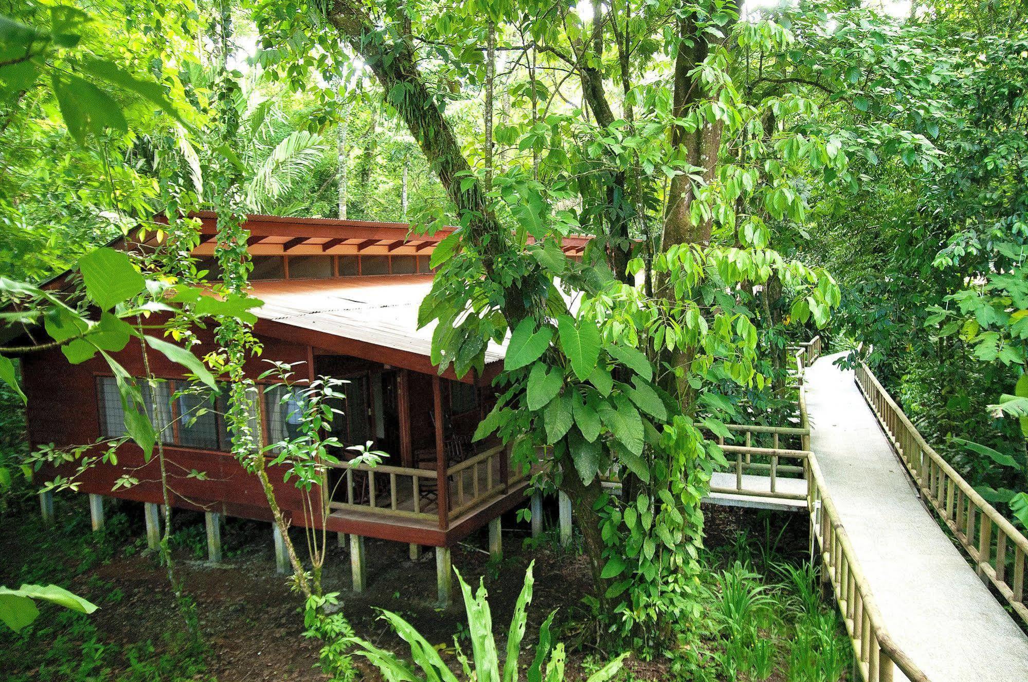 Evergreen Lodge Tortuguero Eksteriør billede